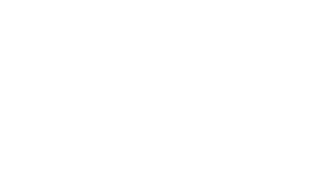 Boss Pet Products