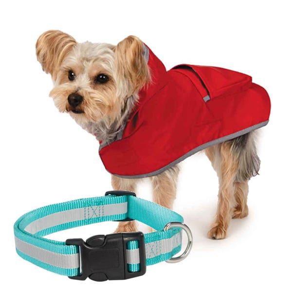 Collars, Leads & Apparel