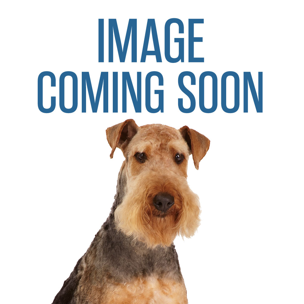 The Groomer's Blog