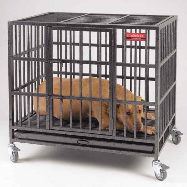 ProSelect Empire Premium Heavy Duty Dog Cage
