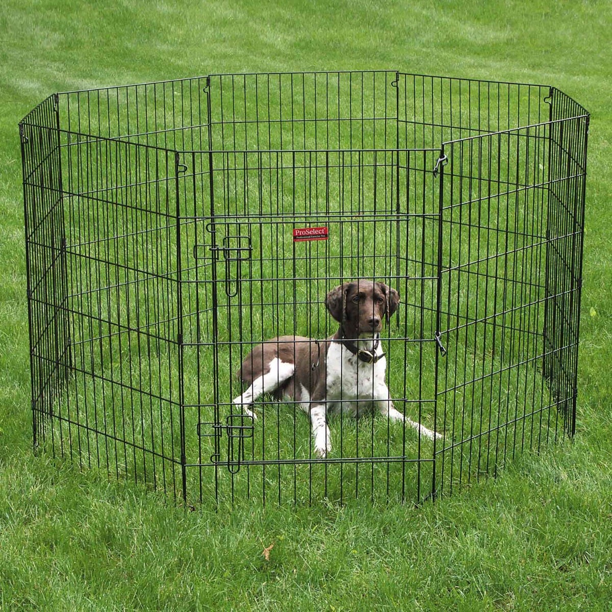 ProSelect Everlasting Exercise Pen with Door